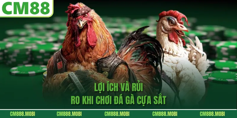 Lợi Ích Và Rủi Ro Khi Chơi Đá Gà Cựa Sắt